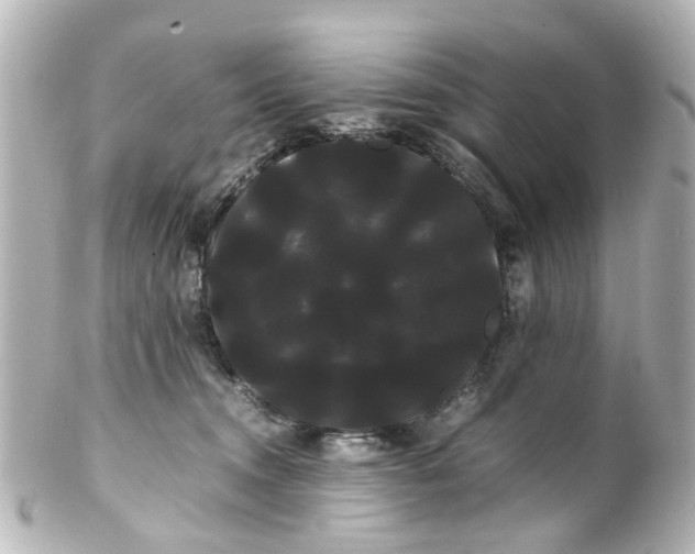 X0000100220372200806271732