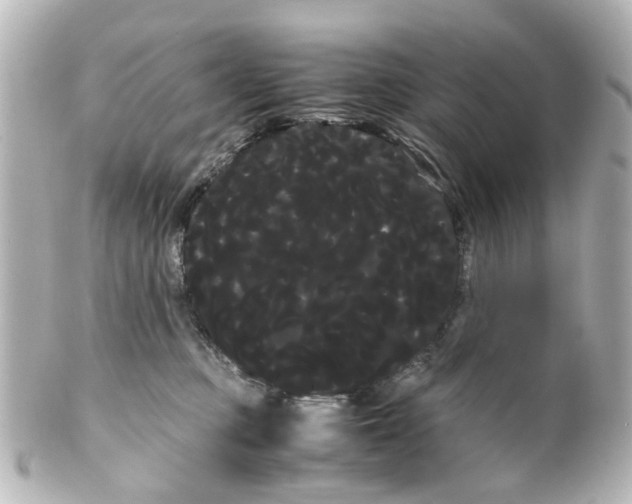 X0000100220373200806271732