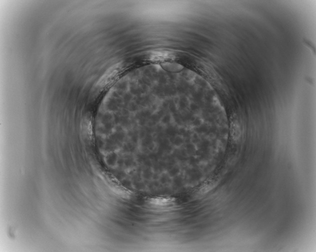 X0000100220375200806271732