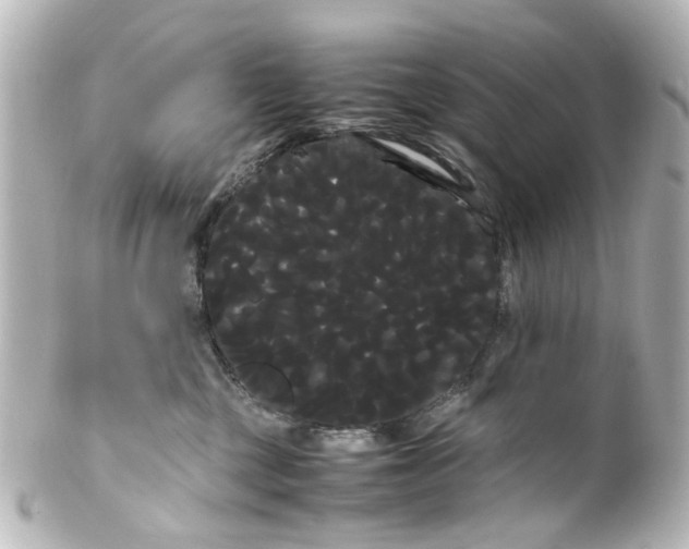 X0000100220377200806271732