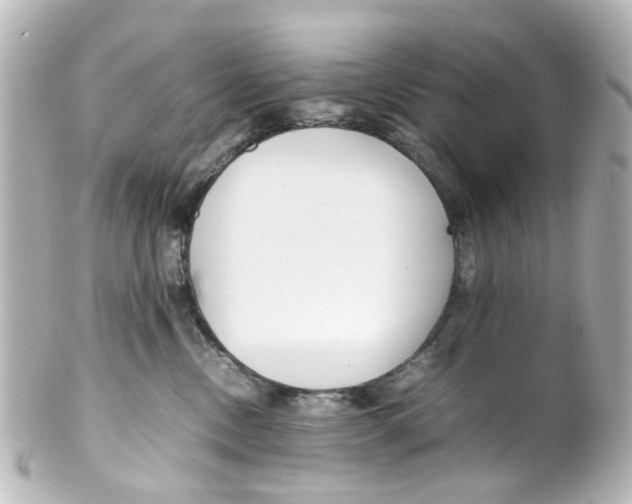 X0000100220378200806271732