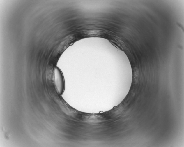 X0000100220379200806271732