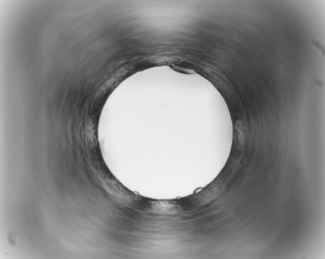 X0000100220380200806271732