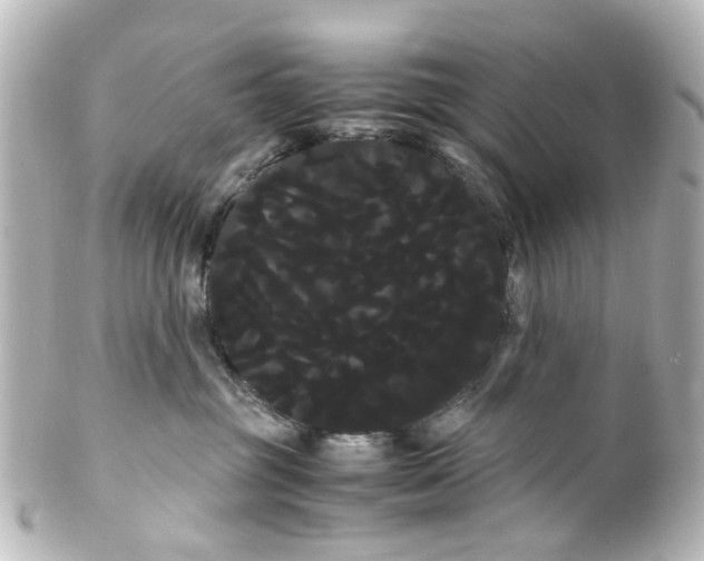 X0000100220381200806271732