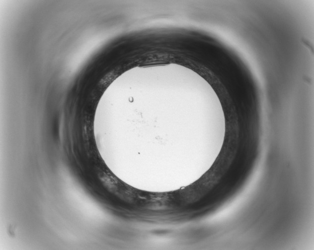 X0000100220382200806271732