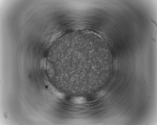 X0000100220383200806271732