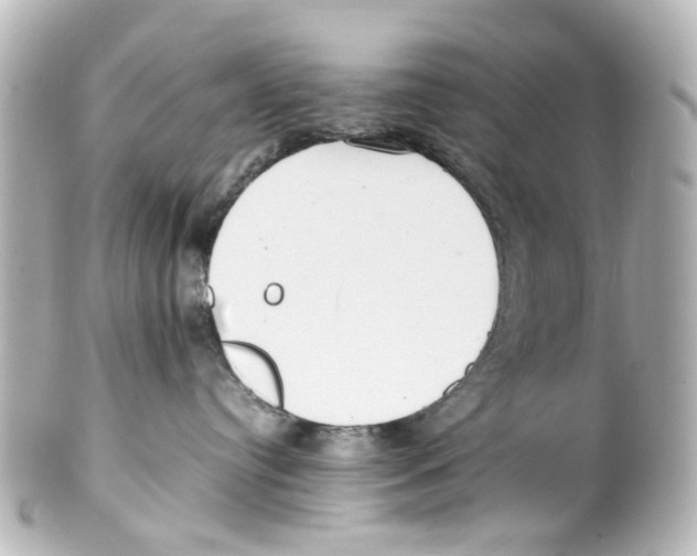 X0000100220384200806271733