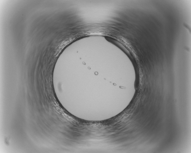 X0000100220385200806271732