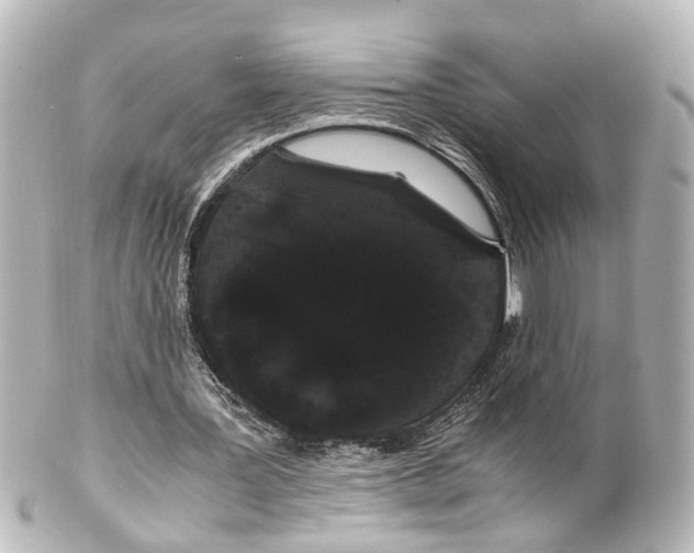 X0000100220387200806271732