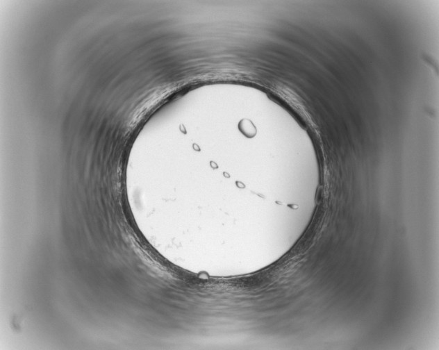 X0000100220389200806271732