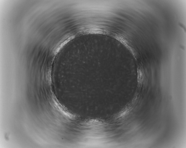 X0000100220390200806271732