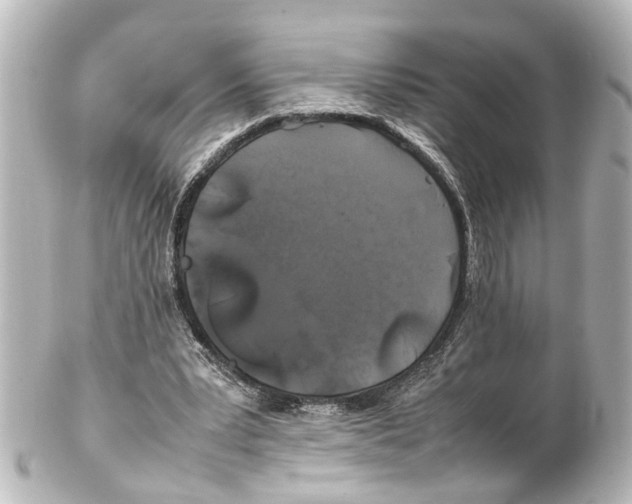 X0000100220391200806271732