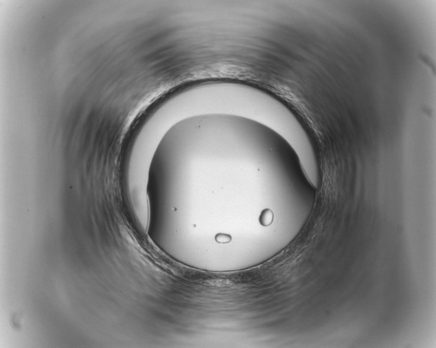 X0000100220392200806271732