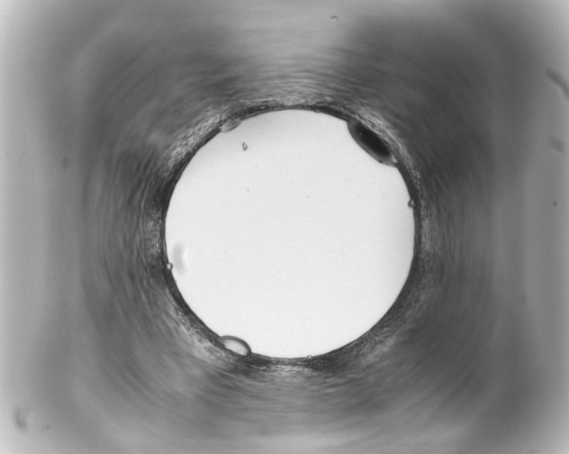 X0000100220393200806271732