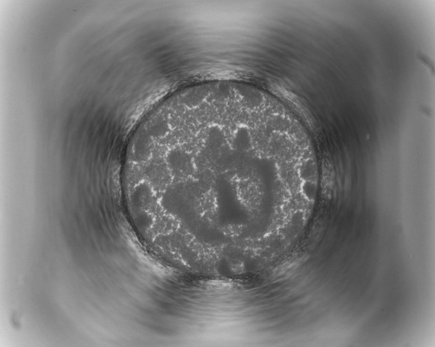 X0000100220394200806271732