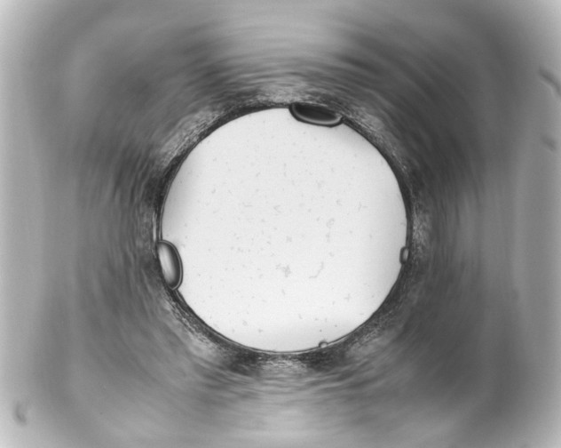 X0000100220397200806271732