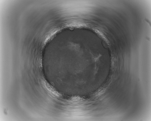 X0000100220399200806271732