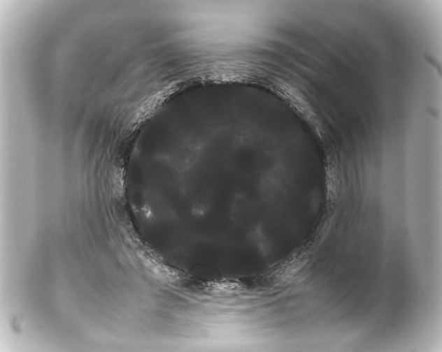 X0000100220401200806271732