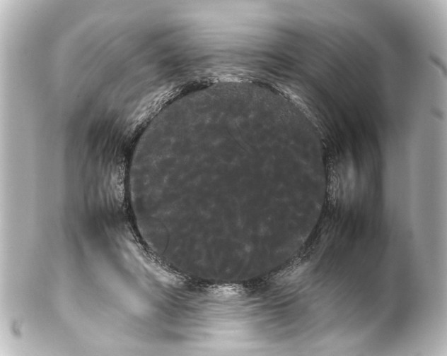 X0000100220402200806271732