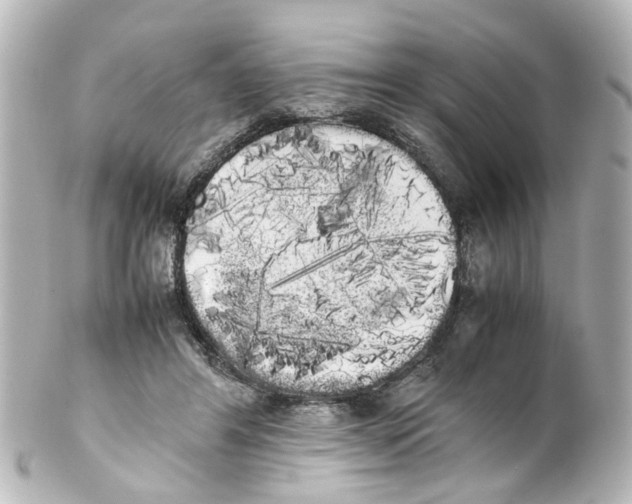 X0000100220404200806271732