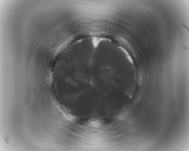 X0000100220405200806271732