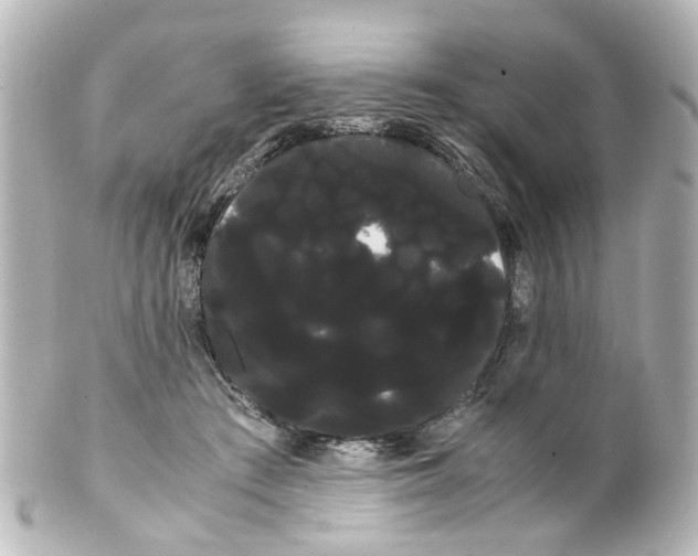 X0000100220409200806271732