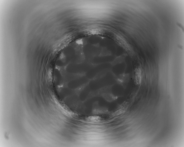 X0000100220410200806271731