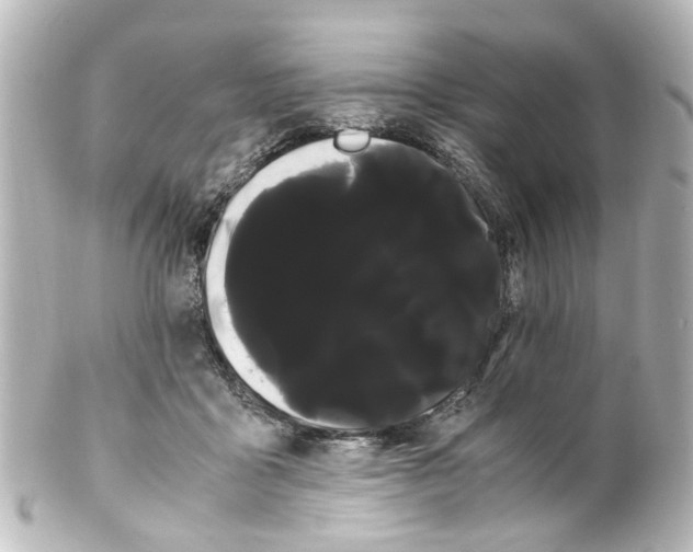 X0000100220411200806271731