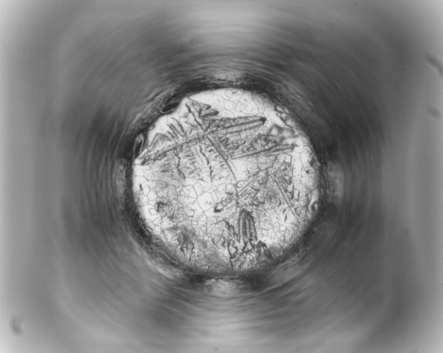 X0000100220412200806271731