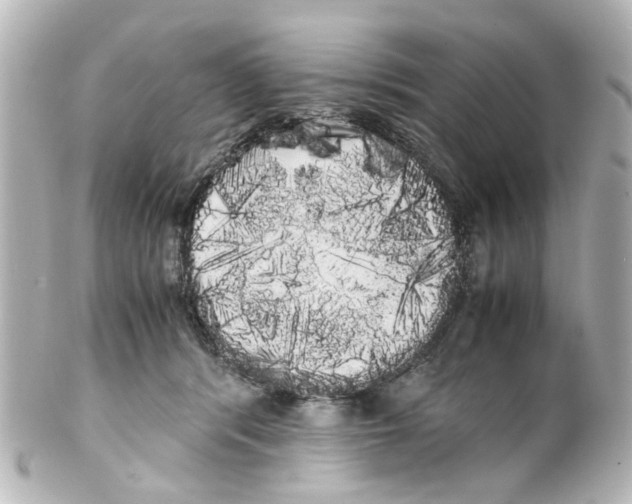 X0000100220416200806271731