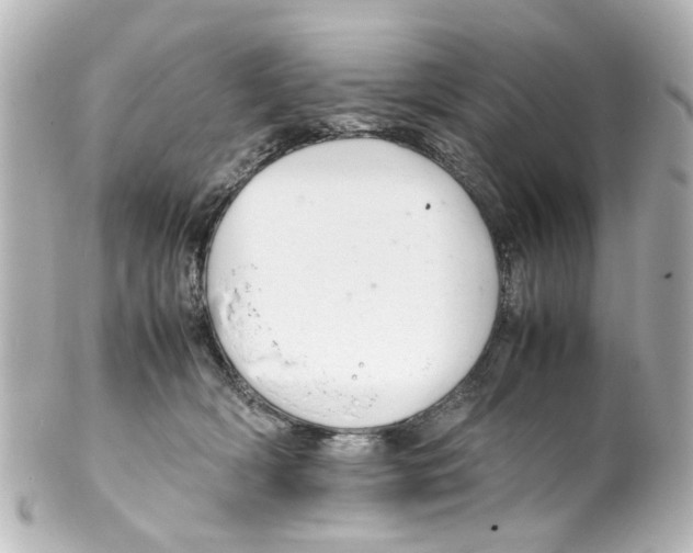 X0000100220418200806271731