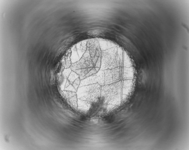 X0000100220420200806271731