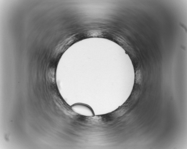 X0000100220421200806271731