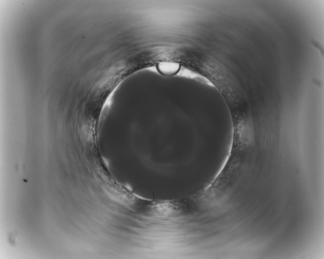 X0000100220423200806271731