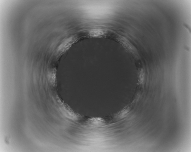 X0000100220427200806271731