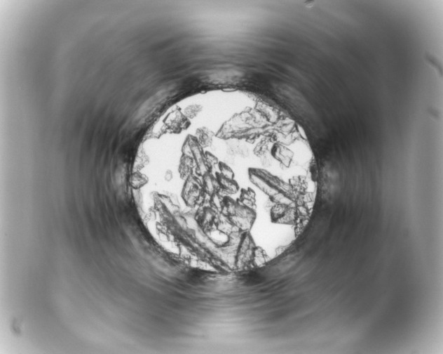 X0000100220428200806271731