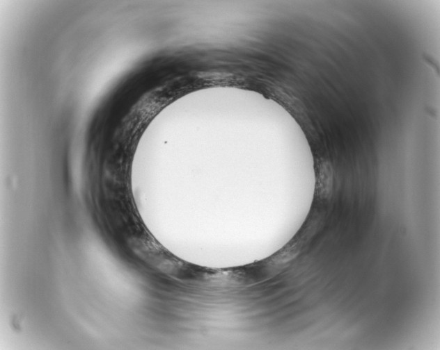 X0000100220430200806271731