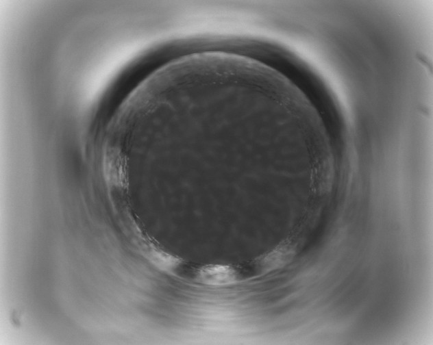 X0000100220431200806271731