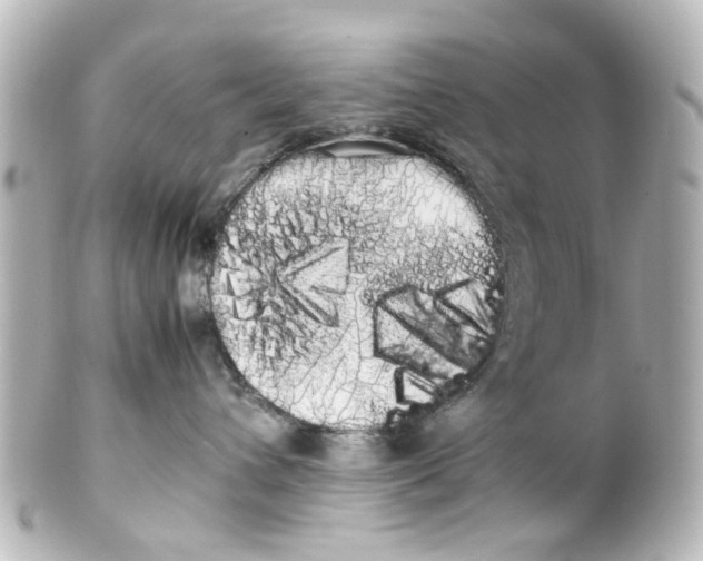 X0000100220432200806271731