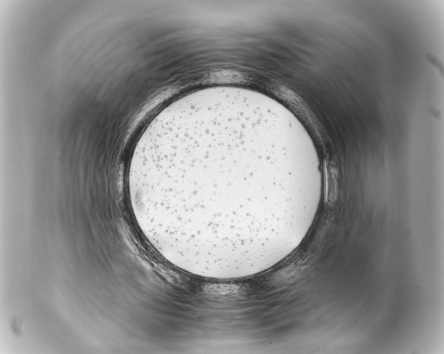 X0000100220435200806271731