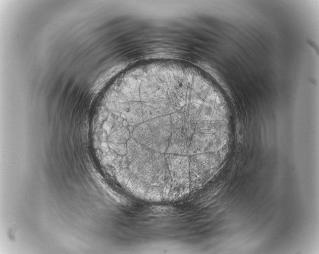 X0000100220437200806271731