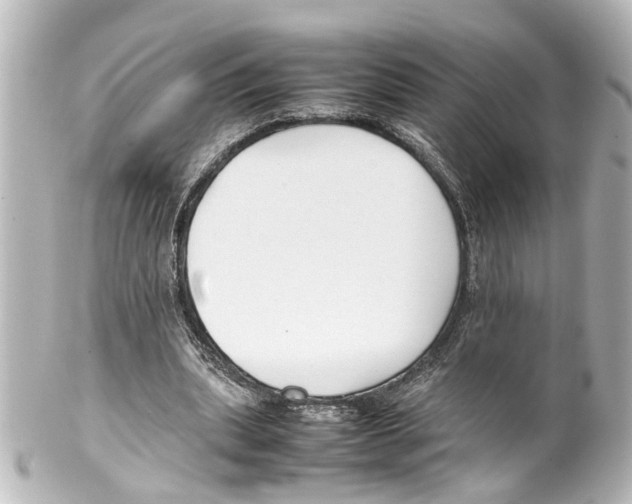 X0000100220439200806271731