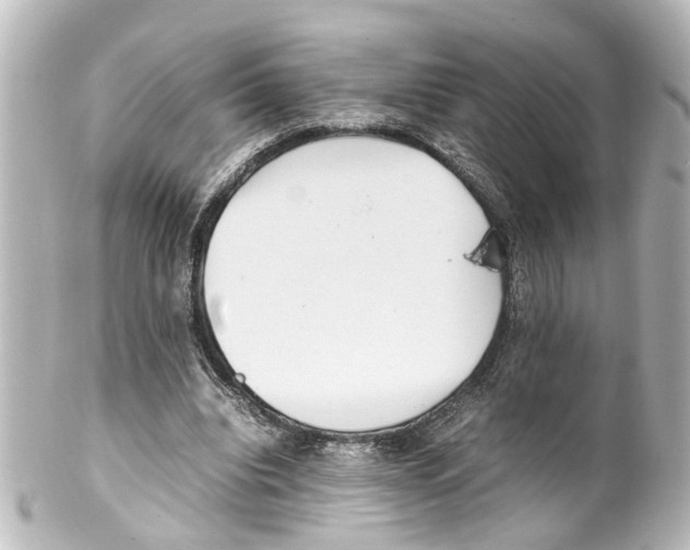 X0000100220440200806271731