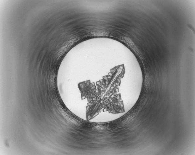 X0000100220441200806271731