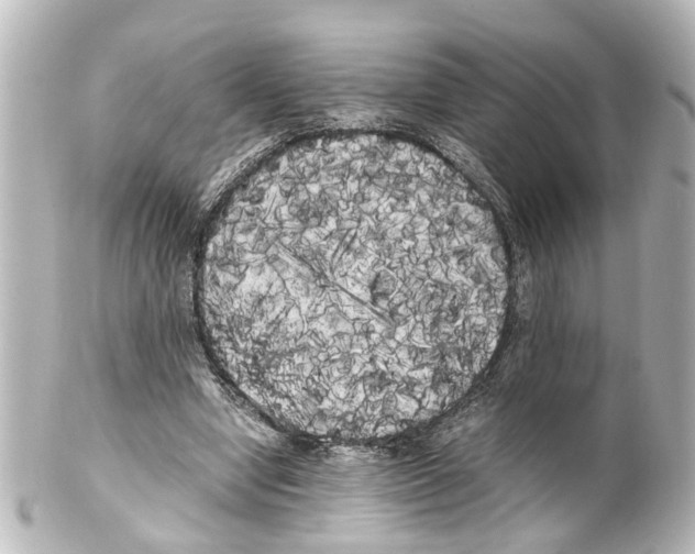 X0000100220442200806271731