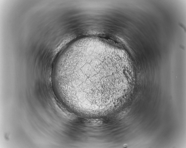 X0000100220443200806271731