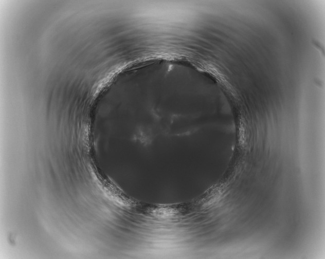 X0000100220444200806271731