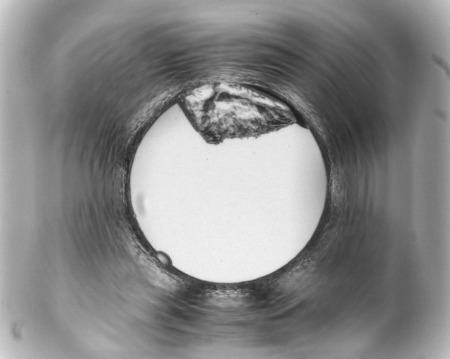 X0000100220445200806271731