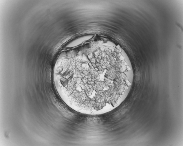 X0000100220446200806271731