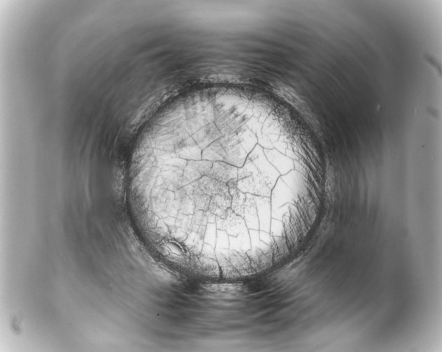 X0000100220449200806271731